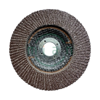 Nhám Xếp Lionking Nắp Lưới 125mm Cốt 22mm