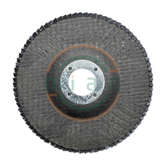 Nhám Xếp Lionking Nắp Lưới 125mm Cốt 22mm